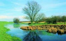 Parque natural Biesbosch