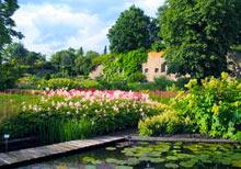 Jardín botánico de Hoofddijk