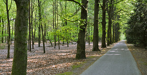 Veluwe